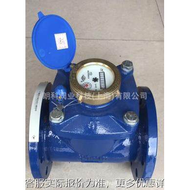 上海水表厂 牌可拆式水表法兰水表50-200