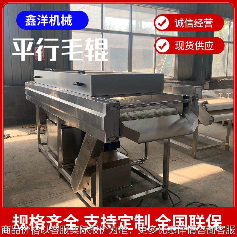 平行式沃柑橘子清洗机抛光机 海蛎子生蚝贝类毛刷清洗机 大型商用,厨房/烹饪用具,面条机/压面机,淘宝优惠券,粉丝福利购,淘宝优惠卷