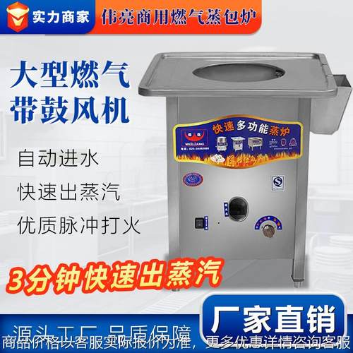 伟亮燃气蒸包炉商用电热蒸箱蒸包子机无风机蒸炉馒头蒸汽机肠粉炉