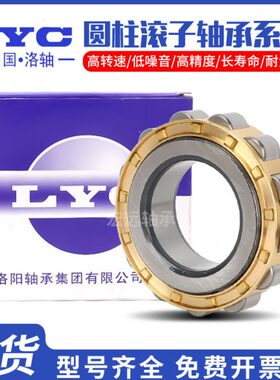洛阳LYC圆柱滚子轴承RN218 219  220  222  224  226  228 230 EM