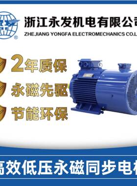 永磁电机YFYT-280S-10极600转-37W低压高效永磁同步电机