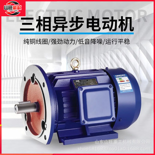 6极马达卧式 变频YE3国标三相异步电动机 电机380v三相2 全铜立式