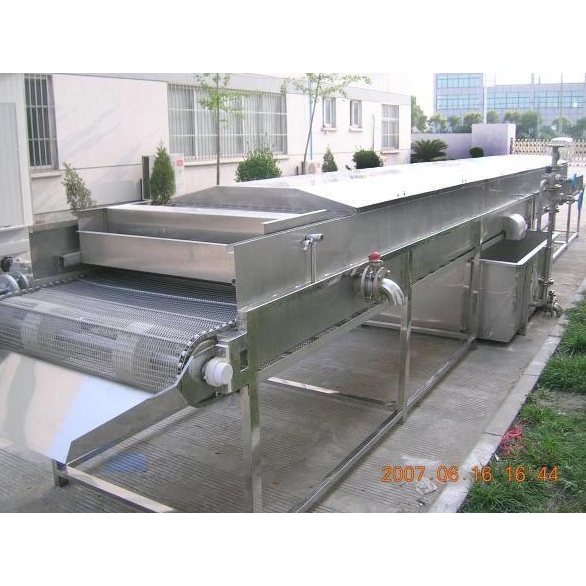 黄桃罐头生产线