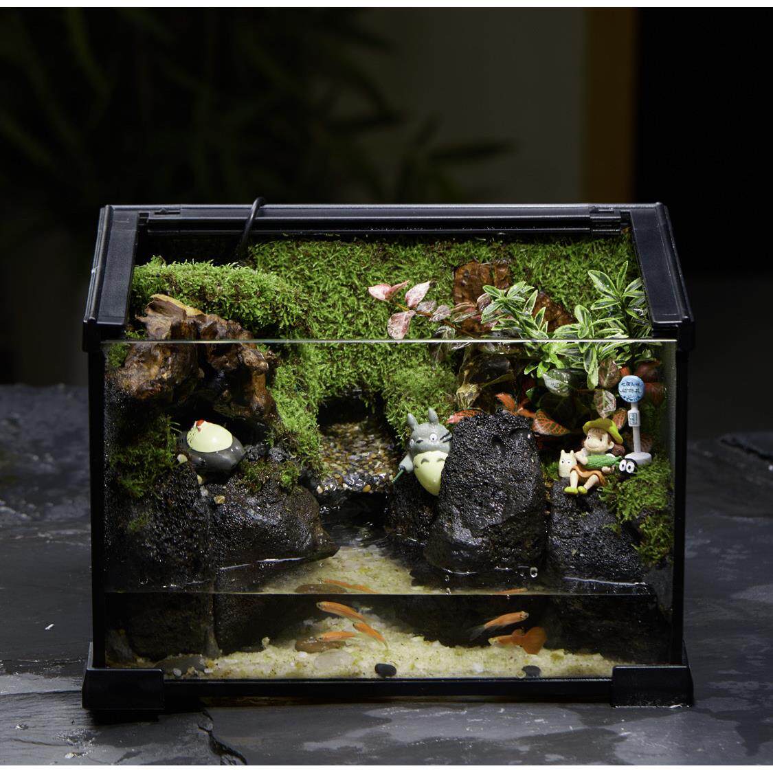 苔藓鱼缸造景生态全套螃蟹爬宠箱养鱼缸角蛙水龟饲养办公桌绿植