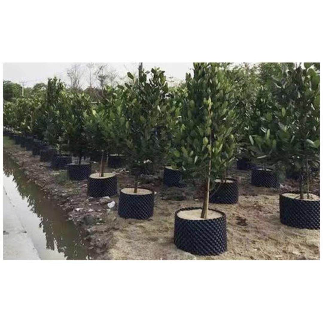 园林绿化植树控根装置树围挡板Pet塑料增厚苗木增根排水板厂家直