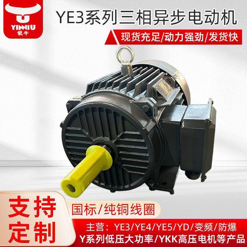 衡水电机厂家定制生产YE3-2极2.2-220w高效三相异步电动机