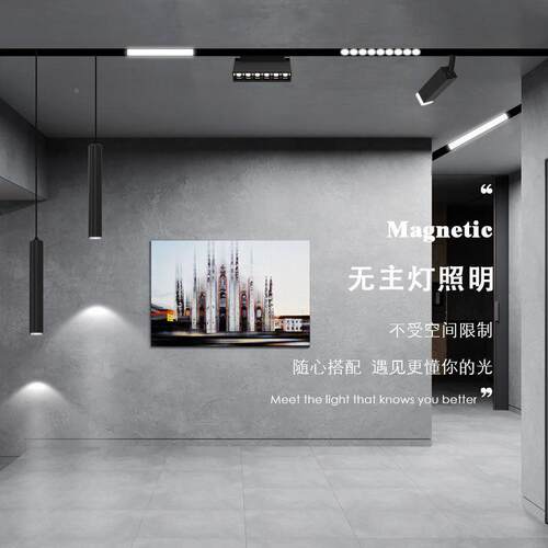 磁吸轨道灯48Ve无主灯入式射灯暗明装LKS-CX88线条客厅店铺l装d照