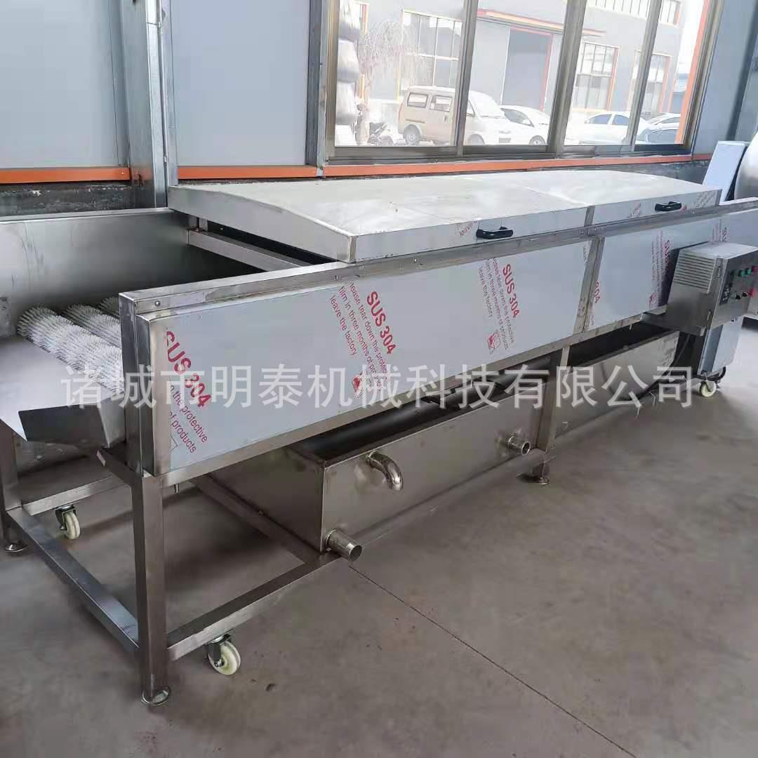 香水柠檬平行毛辊清洗机红薯MAGA-102加设工备杂设备海蛎子选海螺