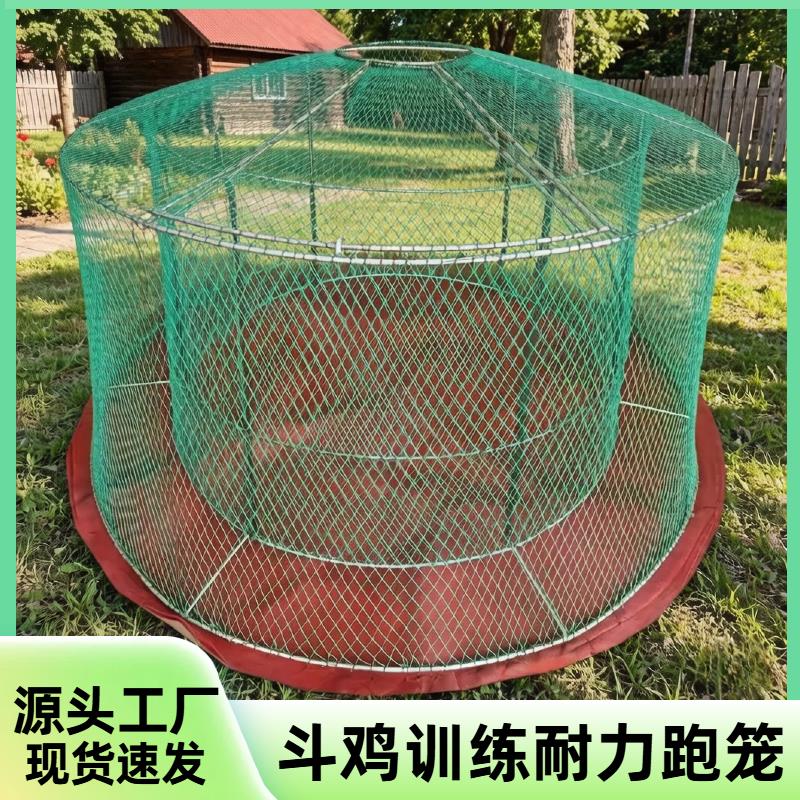 斗鸡跑笼双层训练笼子鸡笼双层斗鸡训练国产跑笼斗鸡鸡笼折叠包邮