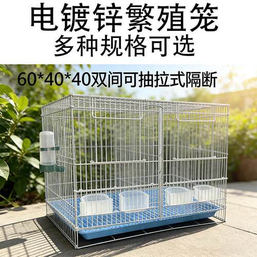 60*40*40（双间门）家用鹦鹉鸟笼子牡丹八哥文鸟电镀锌鹦鹉鸟笼子