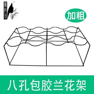 长方4孔兰花架兰架兰花盆架兰花周转架运输架 兰花专用架兰花架