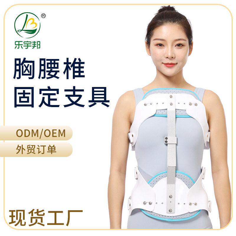 乐宇邦夏季透气款胸腰椎支具钢板固定支架胸椎腰部康复护具可调