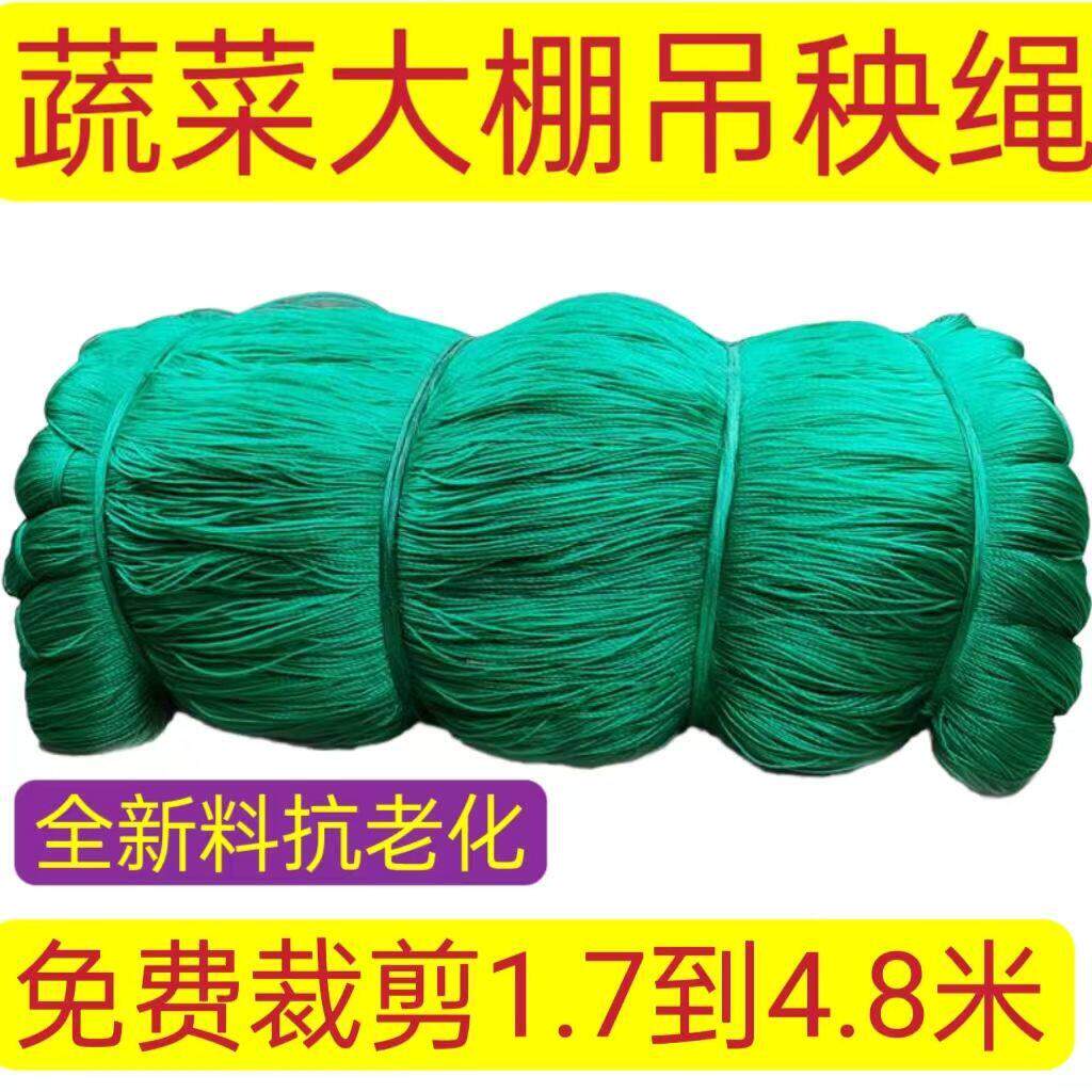 吊秧绳吊蔓绳黄瓜西红柿辣椒吊绳蔬菜大棚尼龙绳耐磨聚乙烯线农用