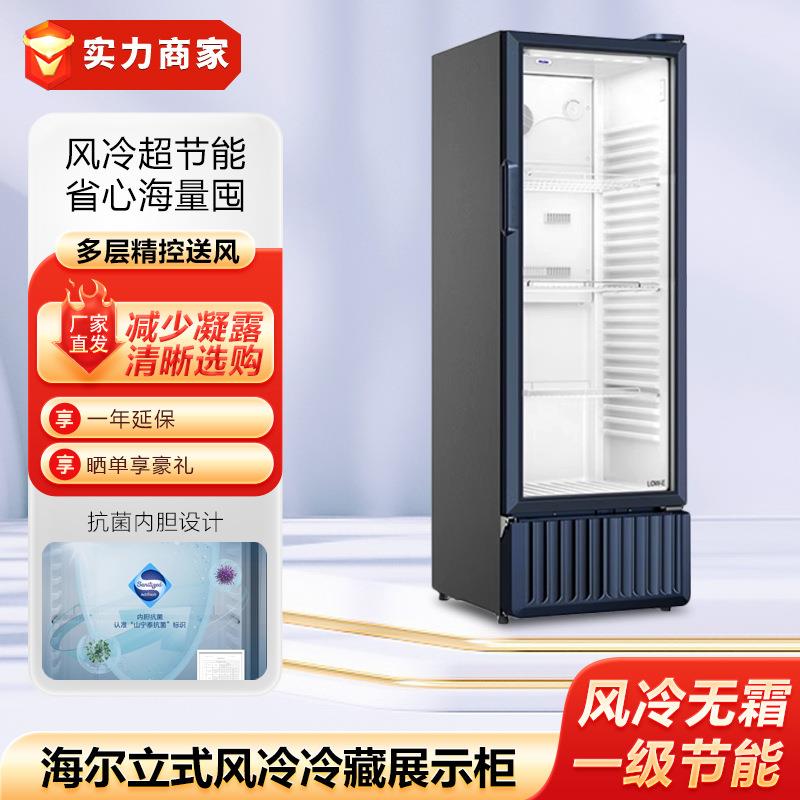 冷柜展示柜冰柜饮料冷藏柜商用保鲜柜啤酒柜酒店食堂厨房设备