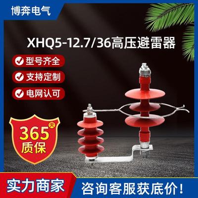 XHQ5-12.7/36过电压保护器架空线路绝缘子穿刺型10KV氧化锌避雷器