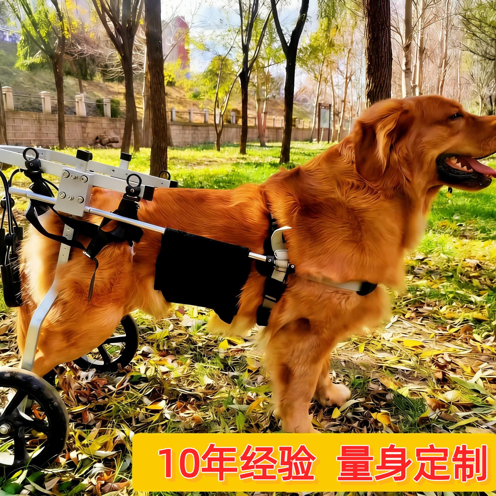 中大型狗轮椅车后肢康复训练脊椎炎瘫痪残疾辅助后腿支架犬代步车