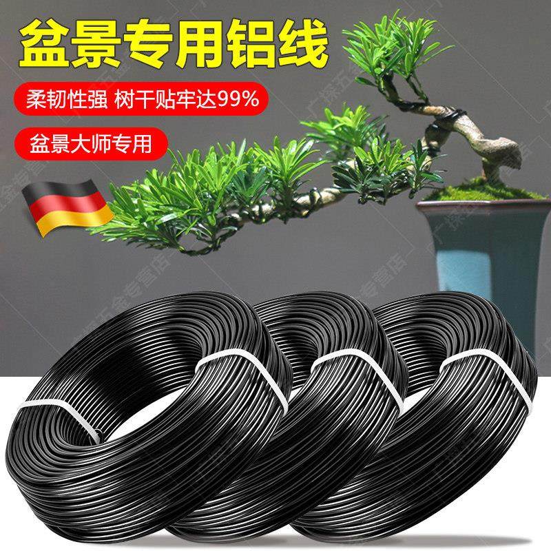 采购产品德国盆景塑形专用铝线，罗汉松铝线，花卉塑形套装，黑色,鲜花速递/花卉仿真/绿植园艺,其它园艺用品,淘宝优惠券,粉丝福利购,淘宝优惠卷