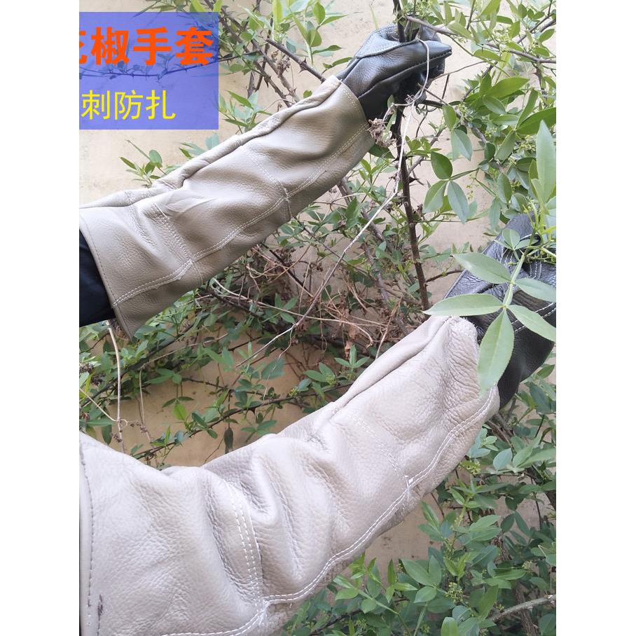 加厚防刺防扎玫瑰月季灌木园艺修剪手套 防割耐磨剥板栗防滑花椒