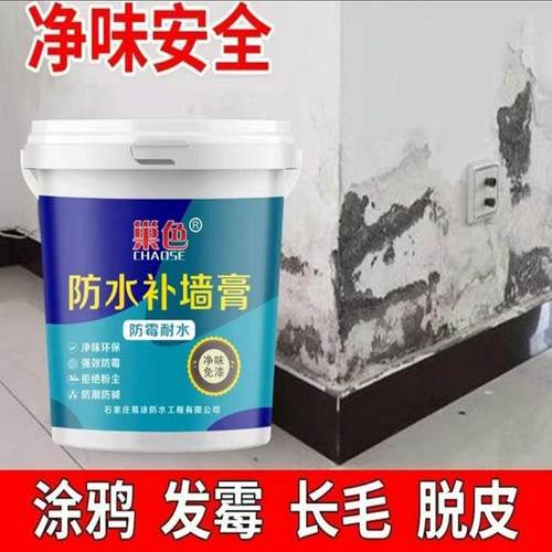 巢色防水补墙膏防潮防霉白色墙面修补免漆家用腻子膏净味室内涂料