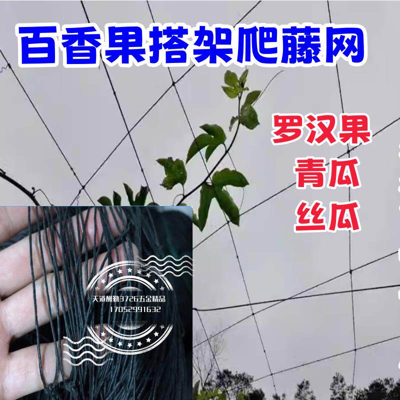 百香果棚网罗汉果搭棚篷架青瓜爬藤网攀丝瓜挂网种植豆角冬瓜佛手