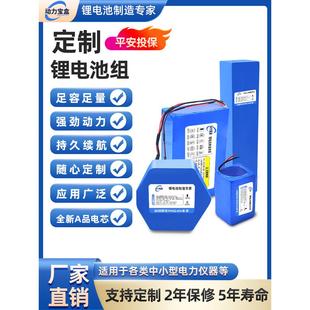 定制12V24V48V60V大容量机器人动力电池洗车机监控割草机锂电池组