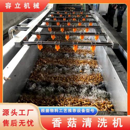 全自动药材清洗机气泡翻狼式丹参桔梗泥机现货供应人参清洗机