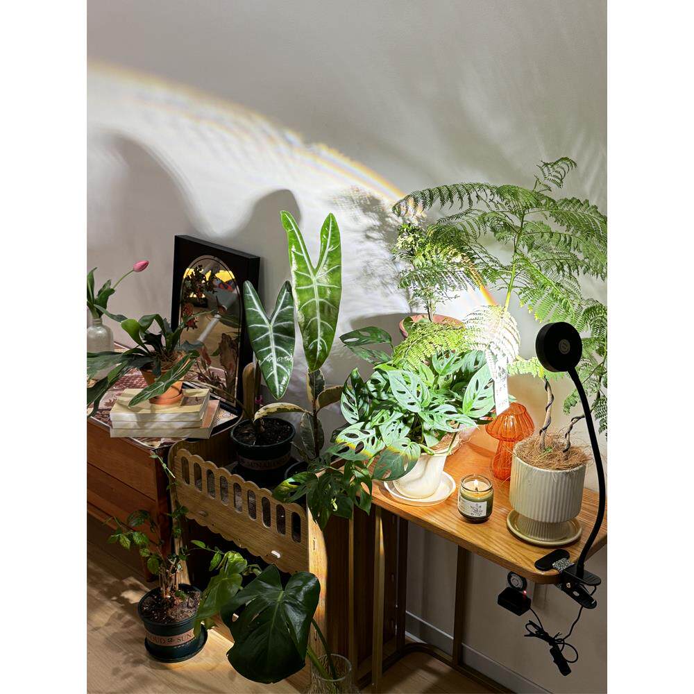 世纪核心植物补光灯全光谱模彷阳光室内家用夹式多肉补光灯