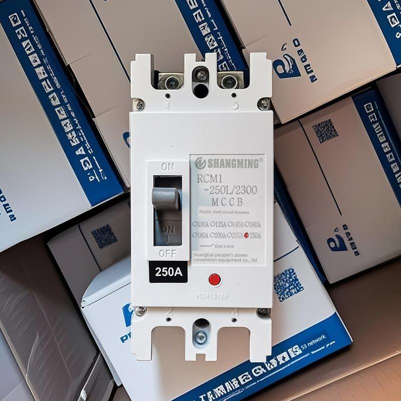 上海人民2P塑料外壳断路器c01 - 125a160a250a单相空气开关220V大