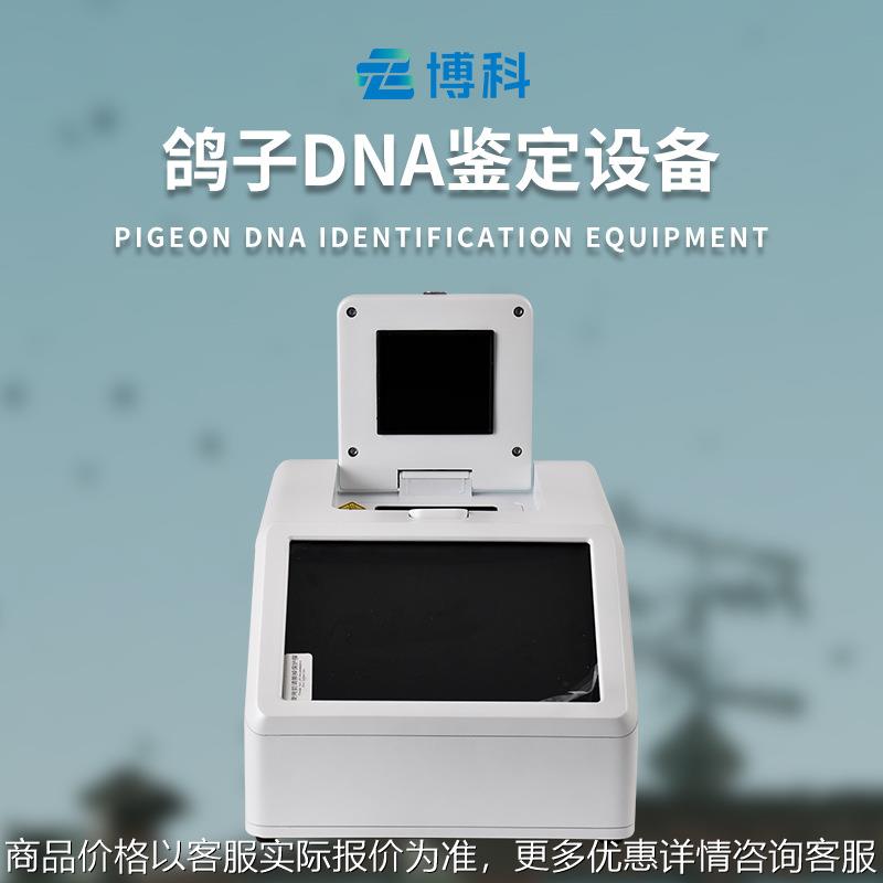 赛鸽飞行能力鉴定仪鸽子dna鉴定设备dna鉴定仪器鸽子DNA检测仪器