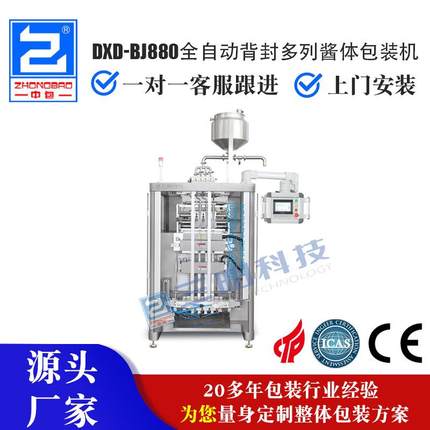 DXD-BJ880全自动背封多列酱体包装机背封酱体包装机