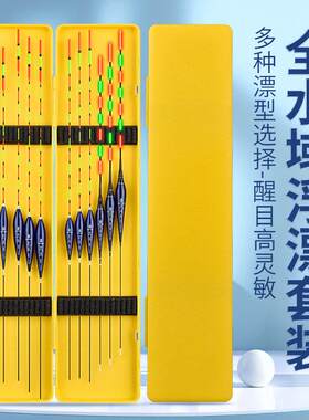 达摩鱼漂套装全套日夜两用浮漂高灵敏加粗醒目野钓轻口鲫鱼漂漂盒