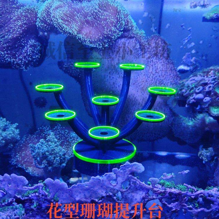 海缸珊瑚提升高造景繁殖支架免爆藻荧光发亮增高软体硬骨草皮纽扣