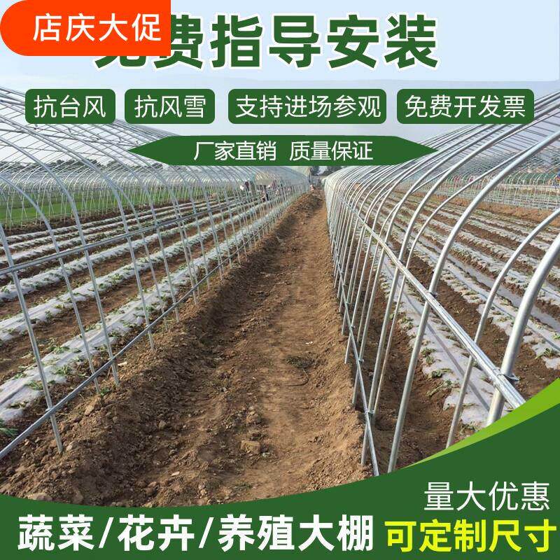 温室蔬菜大棚钢管骨架家用户外种植支架拱杆冷棚骨架养殖大棚全套