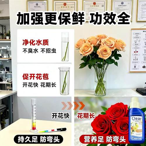 鲜花新款保鲜剂hvb鲜切花水培植物养花营养液加强型延长花期时长