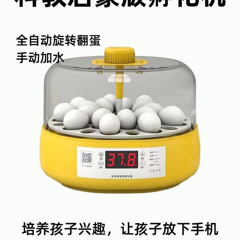 小飞碟孵化机小型家用全自动智能高端孵化器鹦鹉鸽子鹌鹑鸟蛋孵蛋