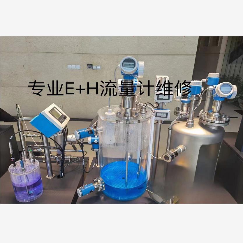 故障维修E+H 质量流量计 电磁流量计 涡街流量计 热式流量计 议价