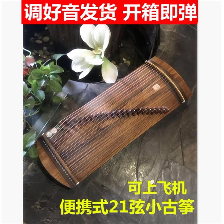 恋音21弦 一米10级挖迷你小古筝80 可携式半筝 初学专业小筝父