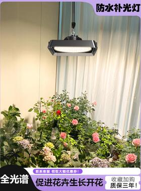植物补光温室蔬菜花卉Led室内花卉专用彷制太阳全光谱绿色植物生