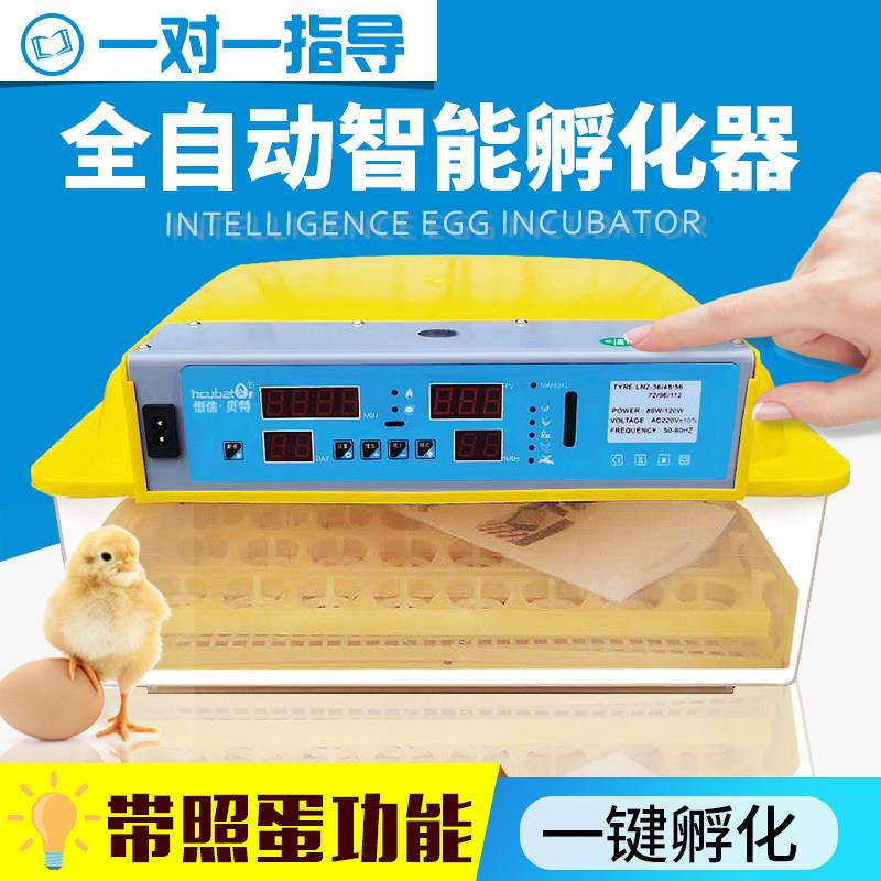 全自动家用型孵化机小鸡孵化设备小型孵化器鸡蛋孵蛋器鸟蛋孵化箱