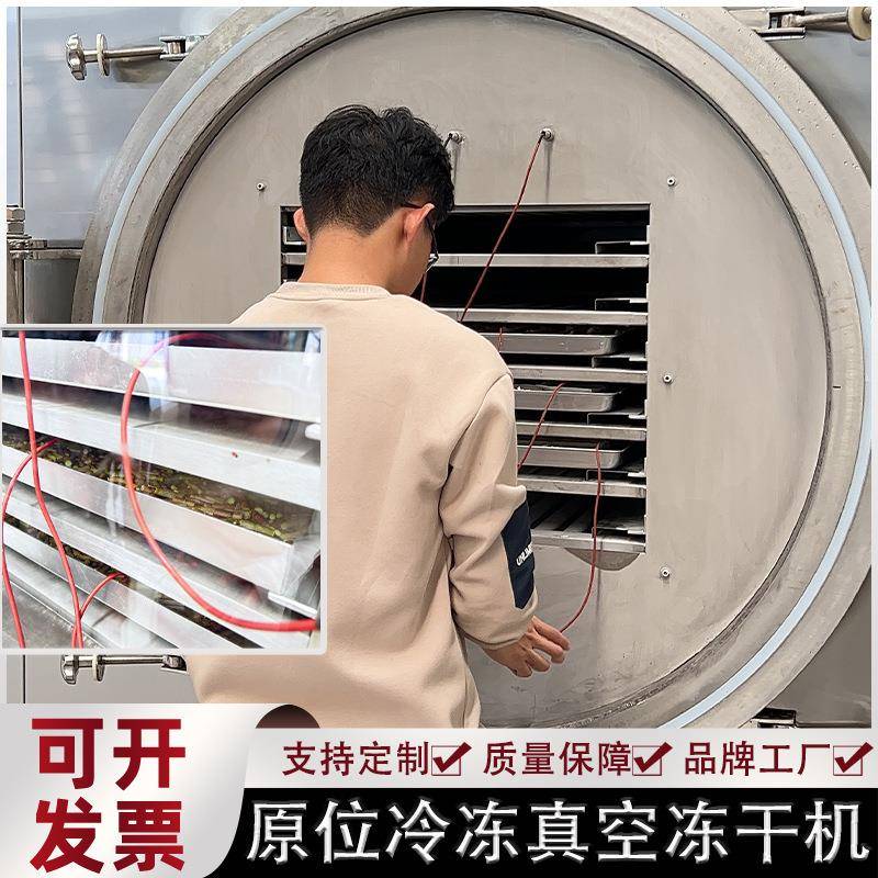 精华液咖啡液真空冻干机肥皂液冻干设备原位冻干真空冷冻干燥机