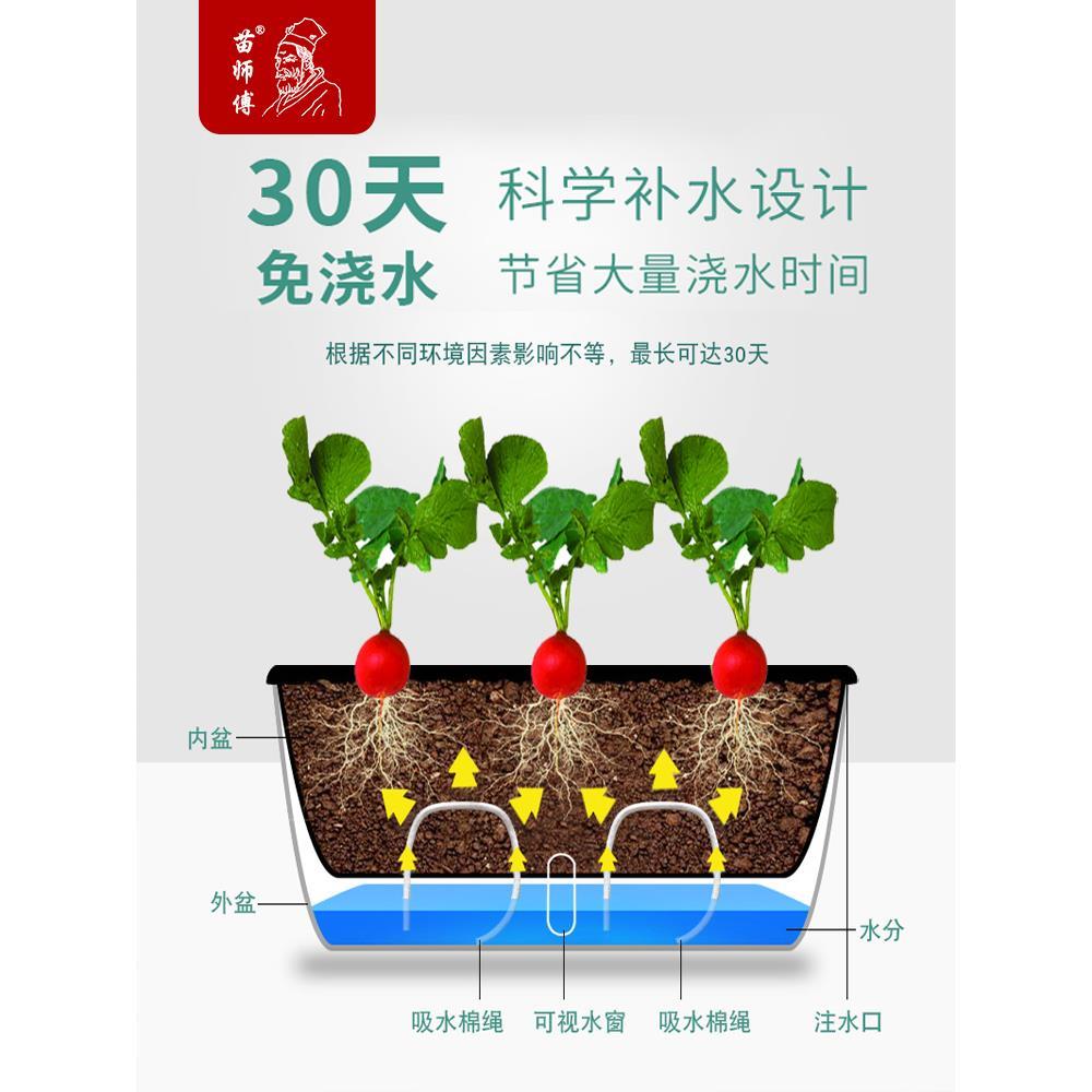 懒人自动吸水花盆阳台种菜盆室内长方形蔬菜种植盆塑料特大花箱子