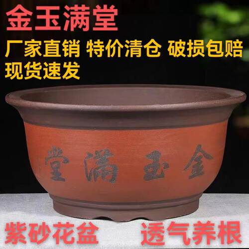 金玉满堂紫砂花盆盆景造型种植盆桂花盆兰花发财树盆铁树盆种树盆
