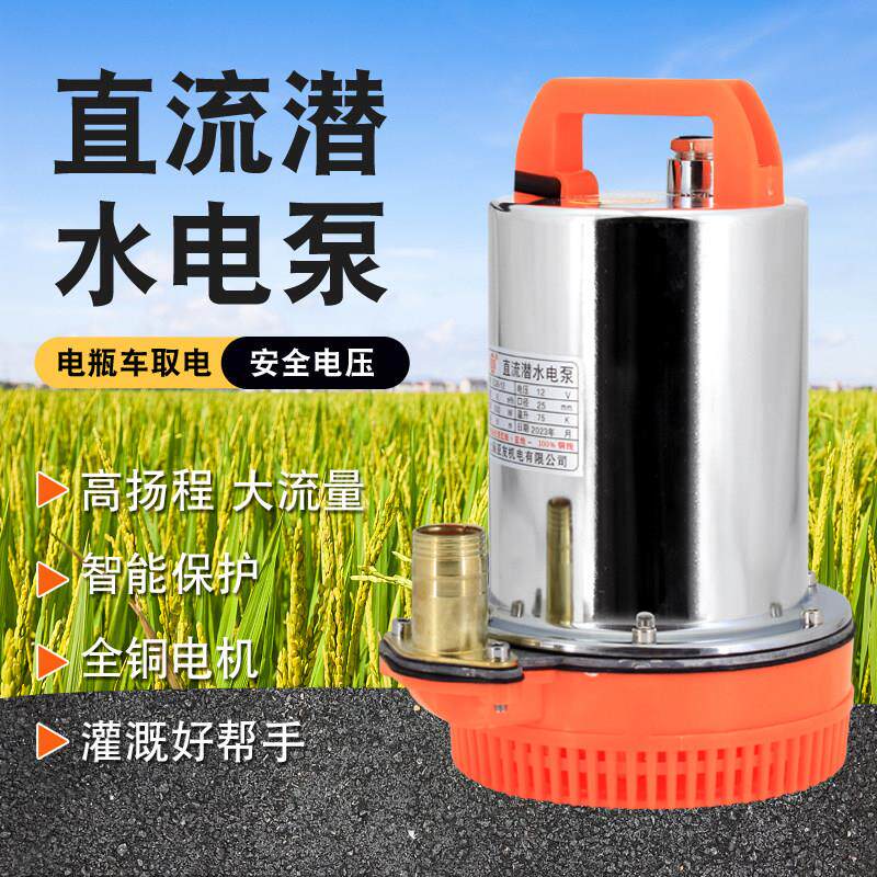 直流泵 电瓶泵 12v 48v 60v 24V 72V电动车用泵 潜水泵