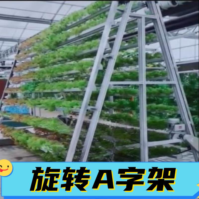 高架多层栽培A字型支架 草莓立体种植旋转A字架温室大棚栽培种植