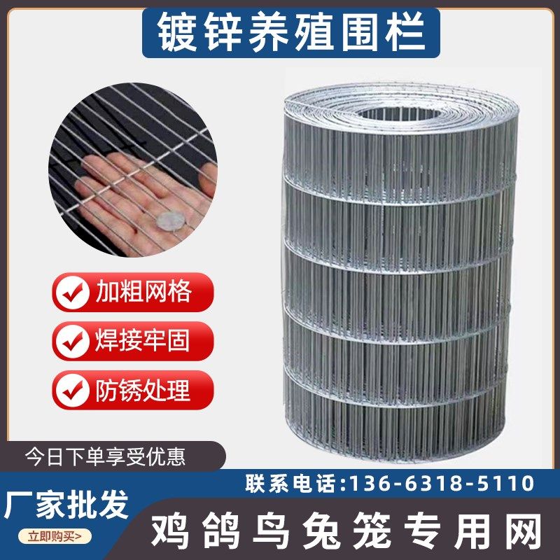 长孔鸟笼网宠物养殖网鸽子网电焊网G鸡鸽兔笼铁丝网镀锌网片垫底,五金/工具,护栏/隔离栏,淘宝优惠券,粉丝福利购,淘宝优惠卷