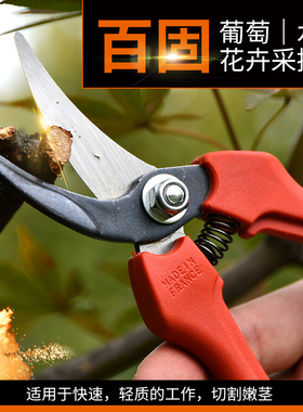 百固P123修剪树枝剪刀园林工具F花剪园艺剪刀修枝剪子花枝剪刀