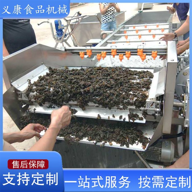 商用全自动蔬菜清洗机设备 小白菜气泡清洗机设备 菠菜清洗机