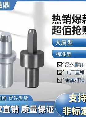 定位销 YEJ01 YEJ02 YEJ21 22 25 28 31 32 P35 38 大肩型  标准