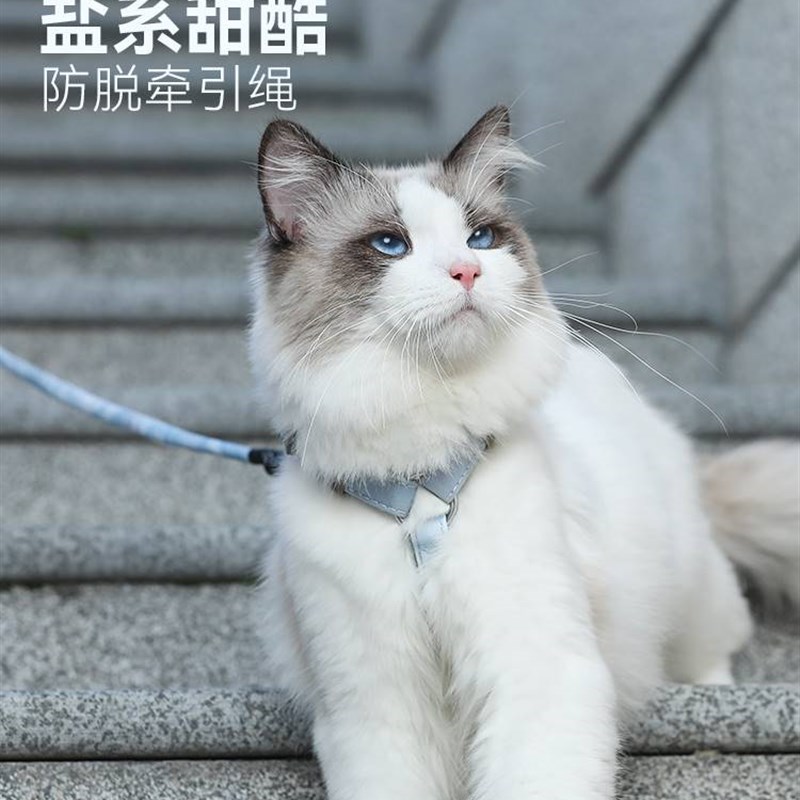 猫咪牵引绳防挣脱外出专用猫绳子宠物背带链子可调节网红遛猫绳