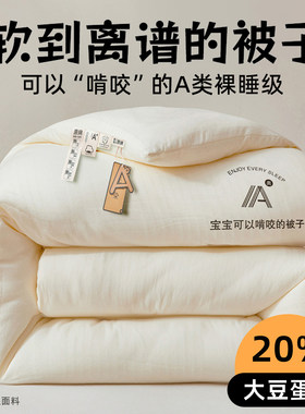 A类提花大豆纤维棉被子冬季加厚保暖10斤被芯春秋天单人学生宿舍